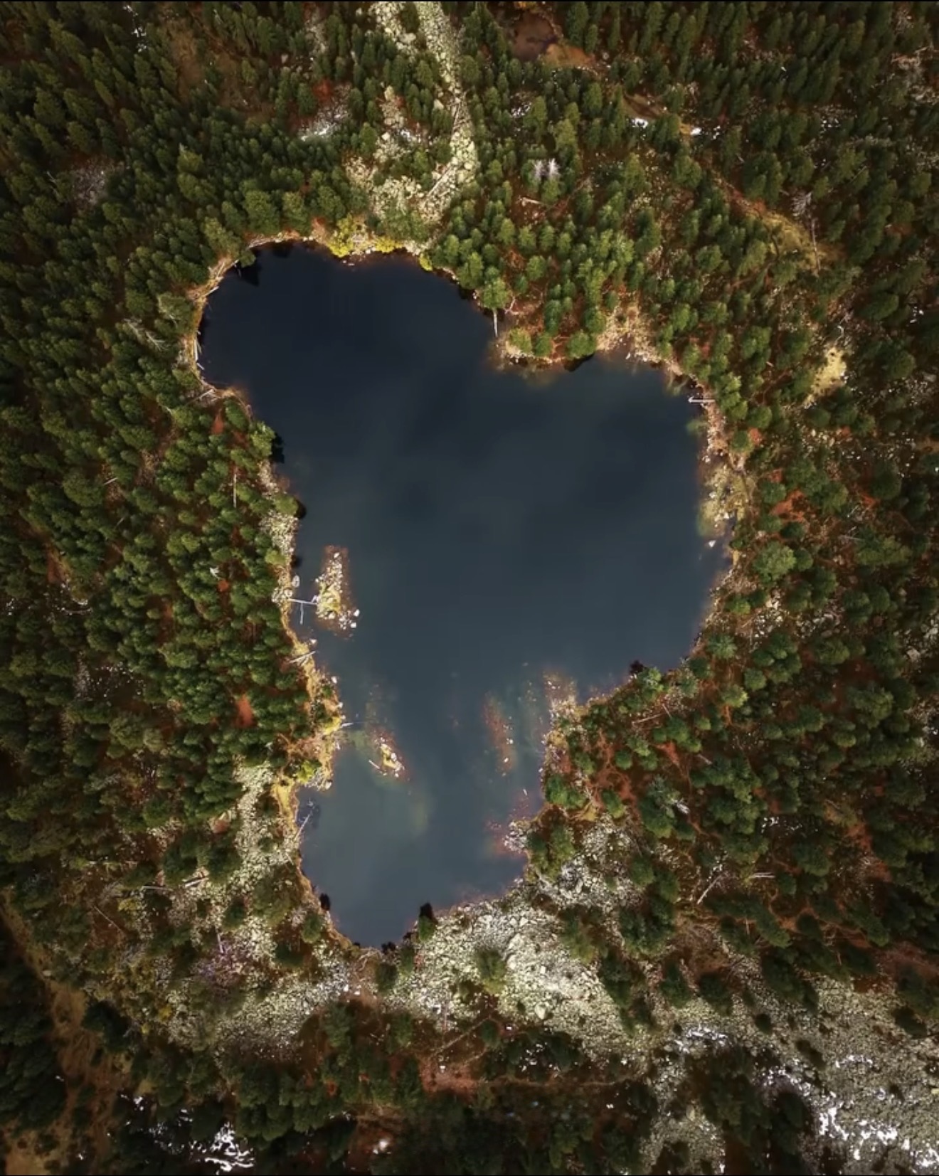 Jezero među šumama
